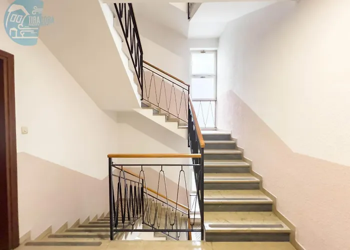 Cappello 9 Tirabora Short Rent *